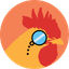 RouteRooster